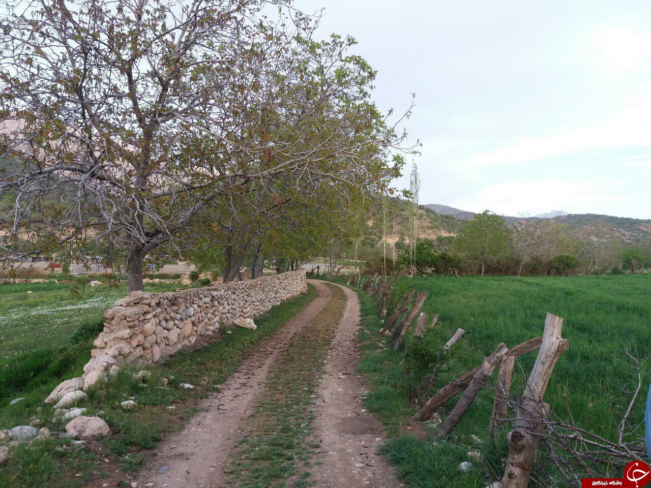 طبیعت زیبای روستای 