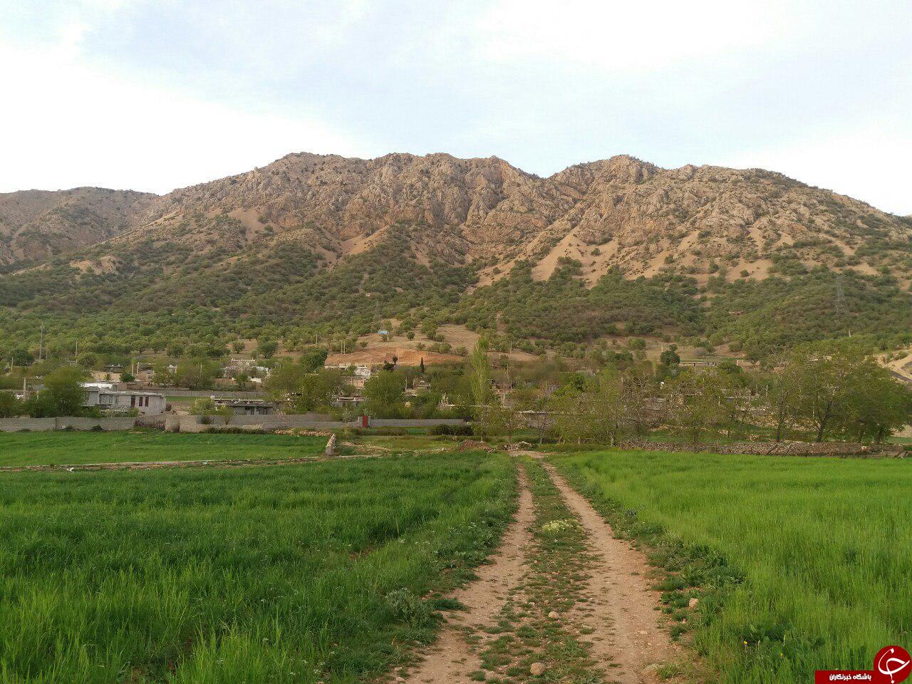 طبیعت زیبای روستای 