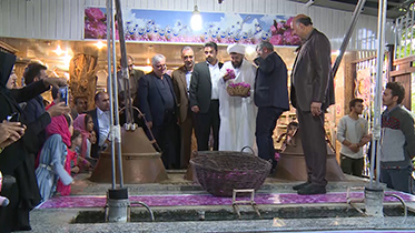 برگزاری آئین سنتی گلابگیری و شکرگزاری در کهن باغشهر نیاسر کاشان