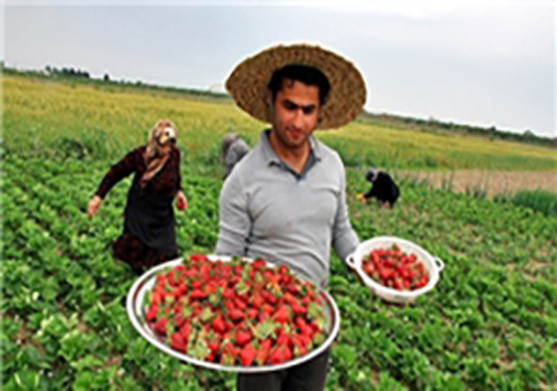 نگاهی گذرا به مهمترین رویداد&zwnj;های پنج شنبه ۶ اردیبهشت ماه در مازندران