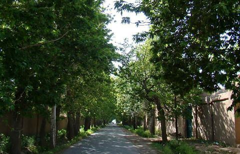 رونق و احیاء بناهای تاریخی بخش گلزار، برآیندی از خواست مردم