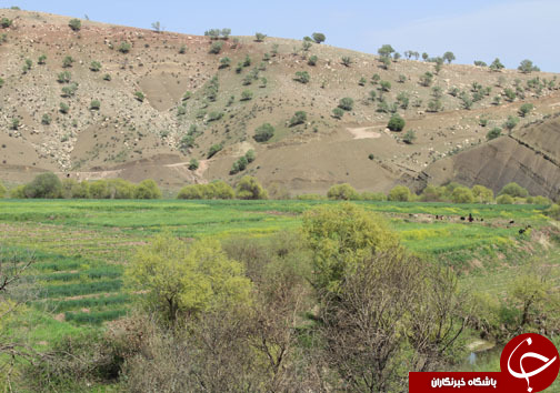 تصـاویری زیبا و بهاری از پـارک جنگلی شـوراب در خــرم آباد