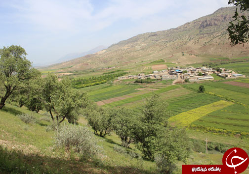 تصـاویری زیبا و بهاری از پـارک جنگلی شـوراب در خــرم آباد