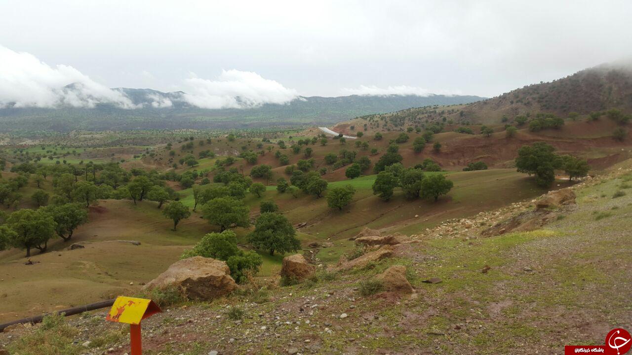 چشم&zwnj;اندازی از طبیعت بهاری در کوهدشت + تصاویر