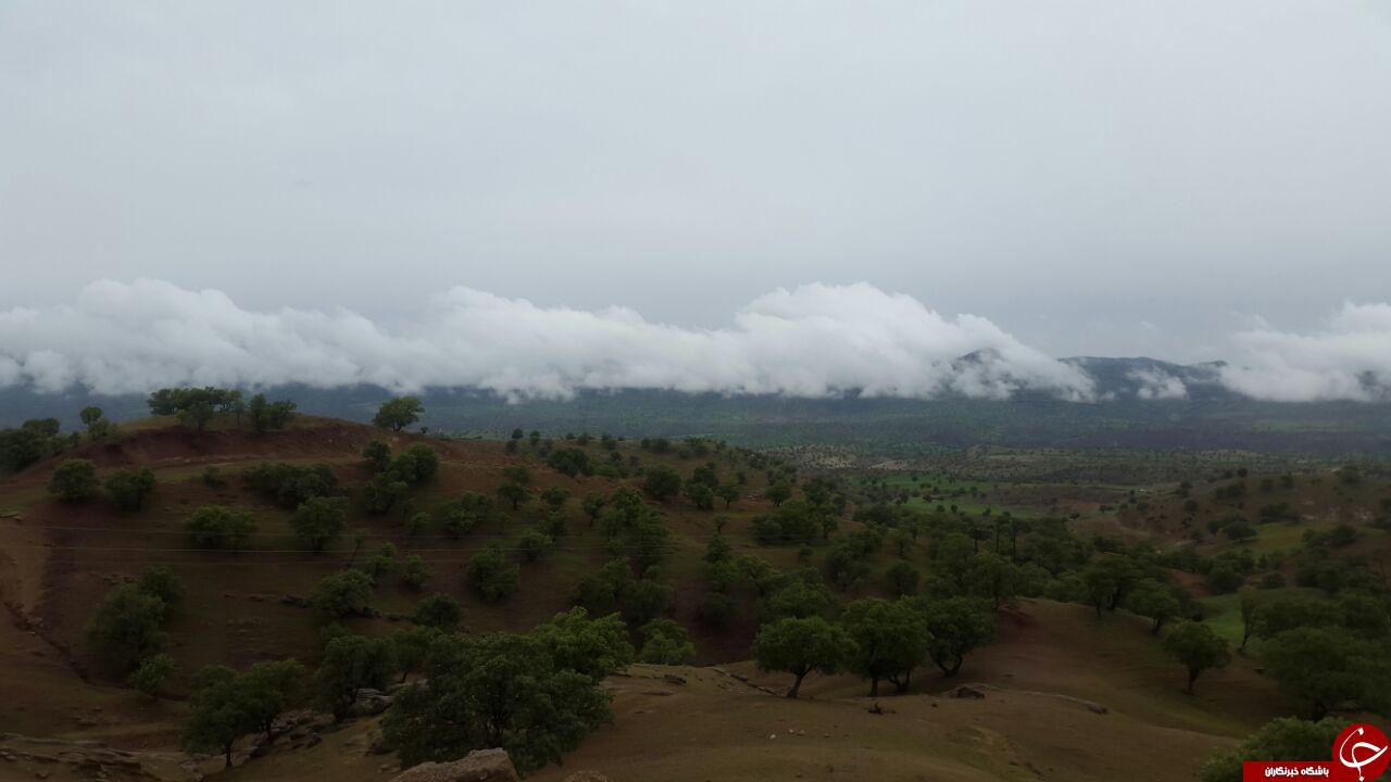 چشم&zwnj;اندازی از طبیعت بهاری در کوهدشت + تصاویر