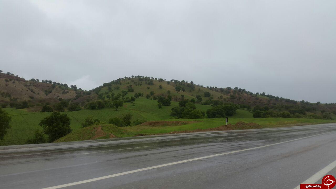 چشم&zwnj;اندازی از طبیعت بهاری در کوهدشت + تصاویر