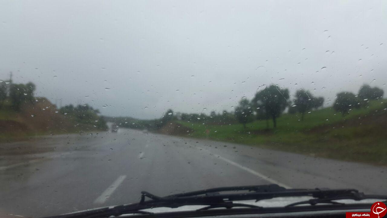 چشم&zwnj;اندازی از طبیعت بهاری در کوهدشت + تصاویر