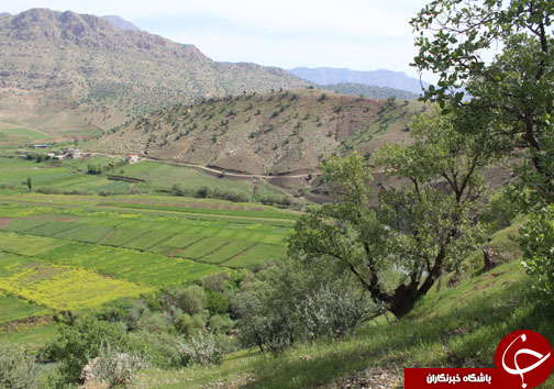 تصـاویری زیبا و بهاری از پـارک جنگلی شـوراب در خــرم آباد