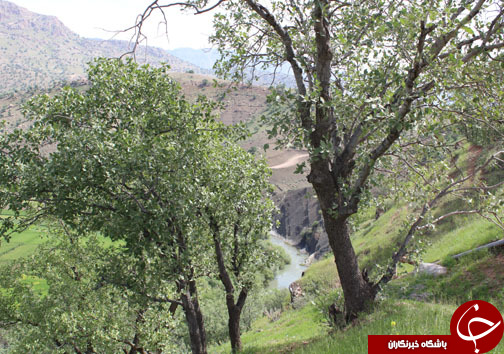 تصـاویری زیبا و بهاری از پـارک جنگلی شـوراب در خــرم آباد
