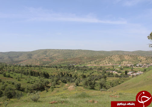 تصـاویری زیبا و بهاری از پـارک جنگلی شـوراب در خــرم آباد