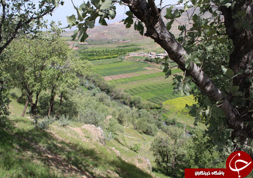 تصـاویری زیبا و بهاری از پـارک جنگلی شـوراب در خــرم آباد