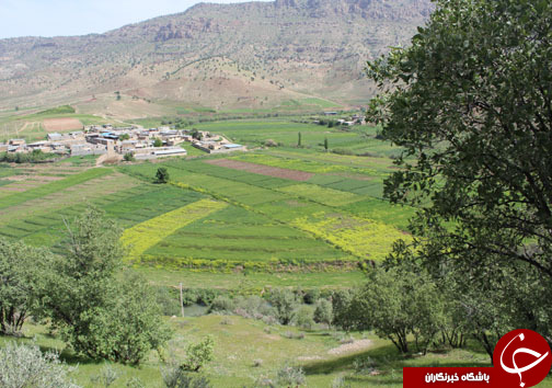 تصـاویری زیبا و بهاری از پـارک جنگلی شـوراب در خــرم آباد