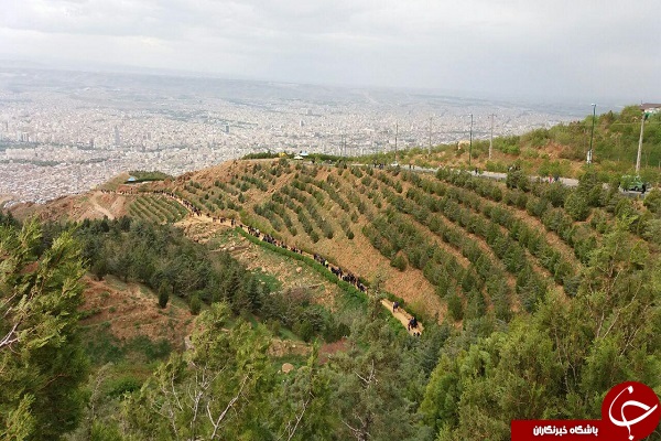 همایش کوه پیمایی خانوادگی در تفرجگاه عون بن علی