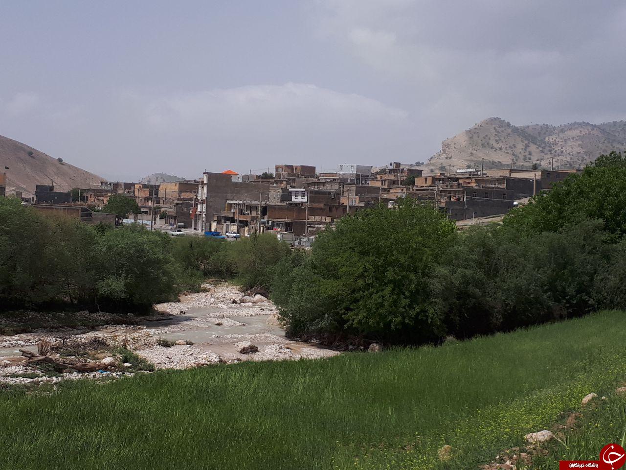 نمایی از طبیعت بهاری در روستای محمودآباد + تصاویر