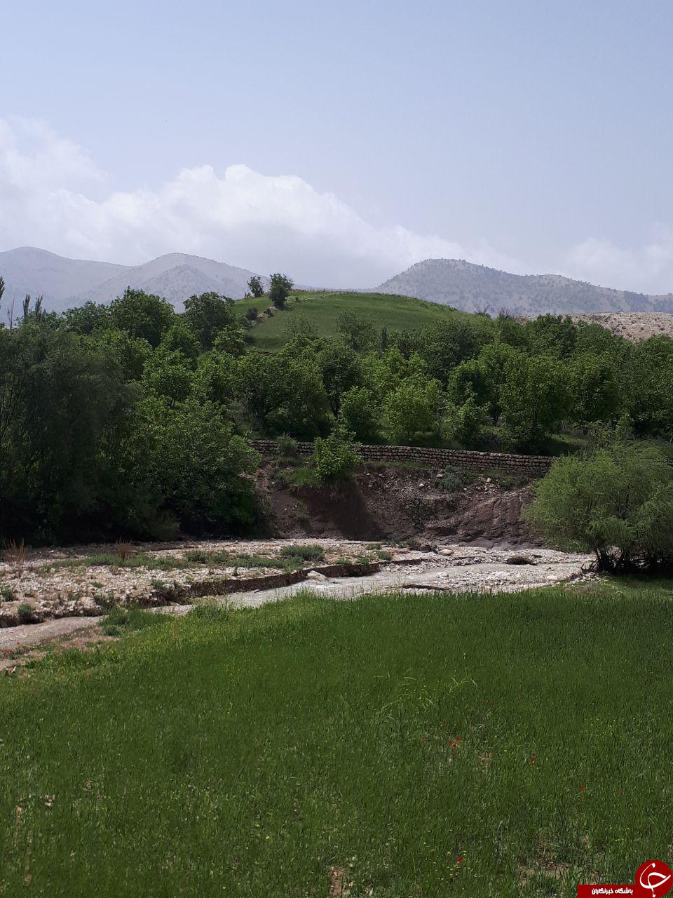 نمایی از طبیعت بهاری در روستای محمودآباد + تصاویر