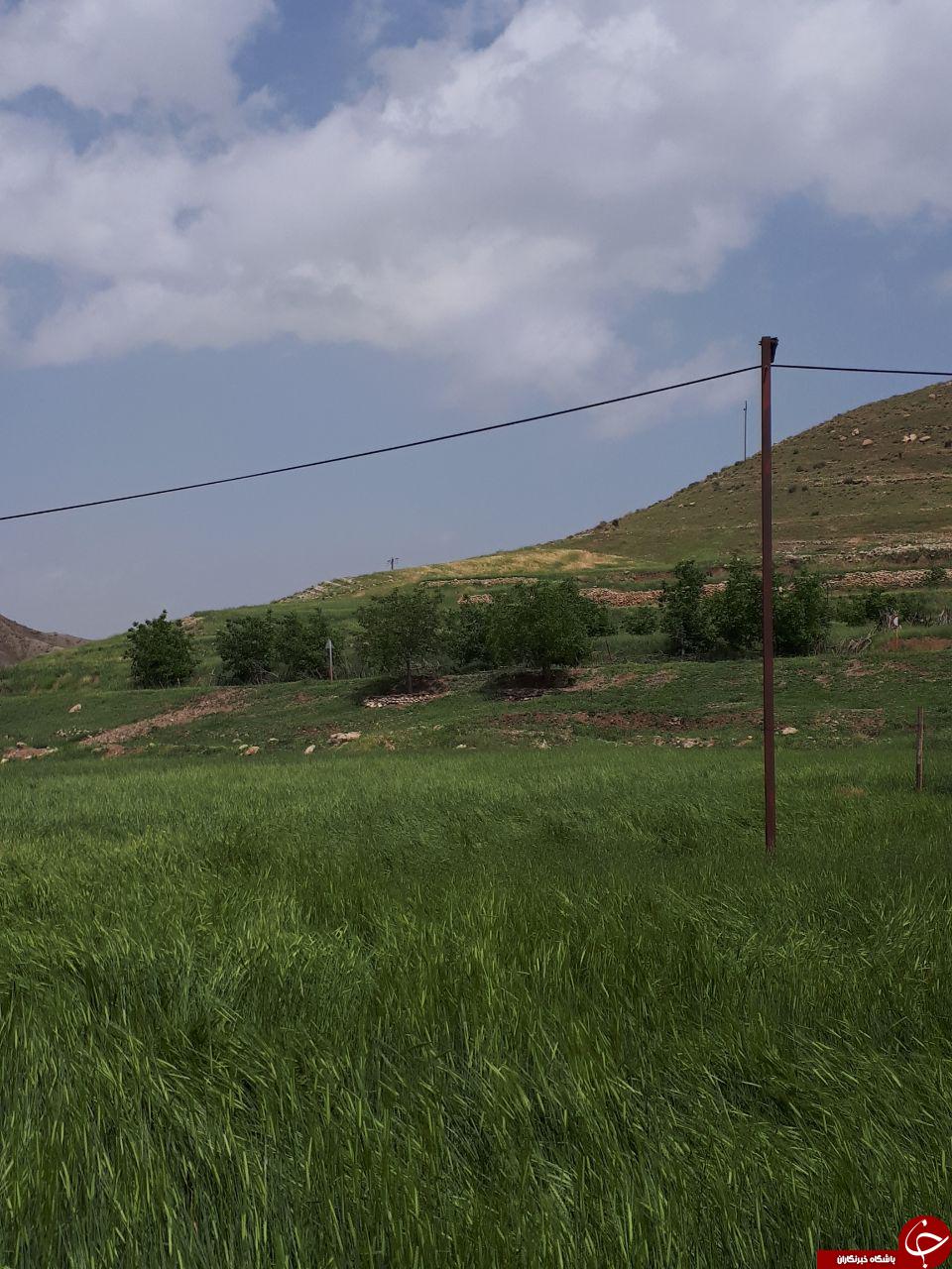 نمایی از طبیعت بهاری در روستای محمودآباد + تصاویر