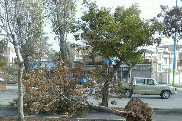 پیش بینی احتمال وقوع تندباد در تهران/شهروندان از رفتن زیر درختان و حاشیه رودخانه‌ها خودداری کنند