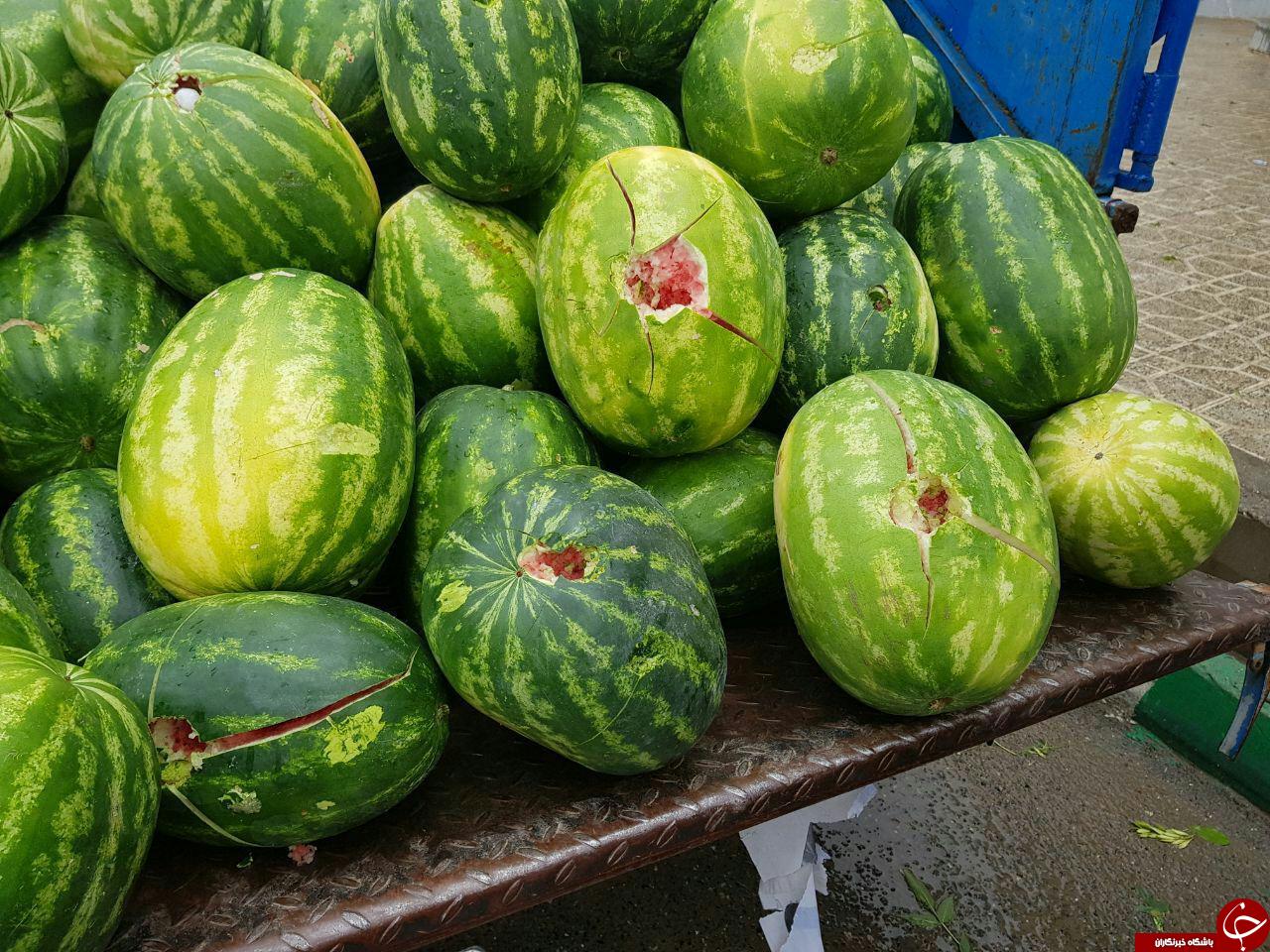 تگرگ موجب شکسته شدن شیشه منازل و خودرو ها شد+تصاویر