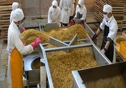 صادرات یک میلیون دلاری کمشمش از گمرک استان همدان
