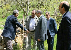خسارت 100 درصدی سرما به برخی محصولات کشاورزی در کشور