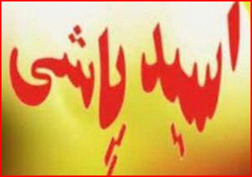 اسیدپاشی در زاهدان قرابنی گرفت/کشته شدن دختر 18 ساله&zwnj;ی تبریزی/فرو ریختن عمارت رحیم خان/ماجرای مرغ های هورمونی/