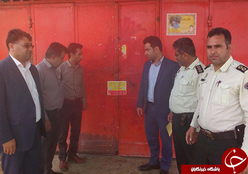 بازداشت متخلفان عرضه کننده مرغ زنده + تصاویر