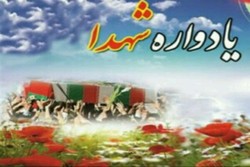 اقتدار و عزت امروز به برکت خون شهدا است
