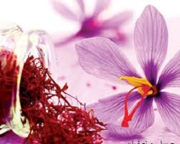 بازار آتی طلای سرخ فردا راه‌اندازی می‌شود