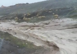 جاری شدن سیل در روستای "شوراب" + فیلم