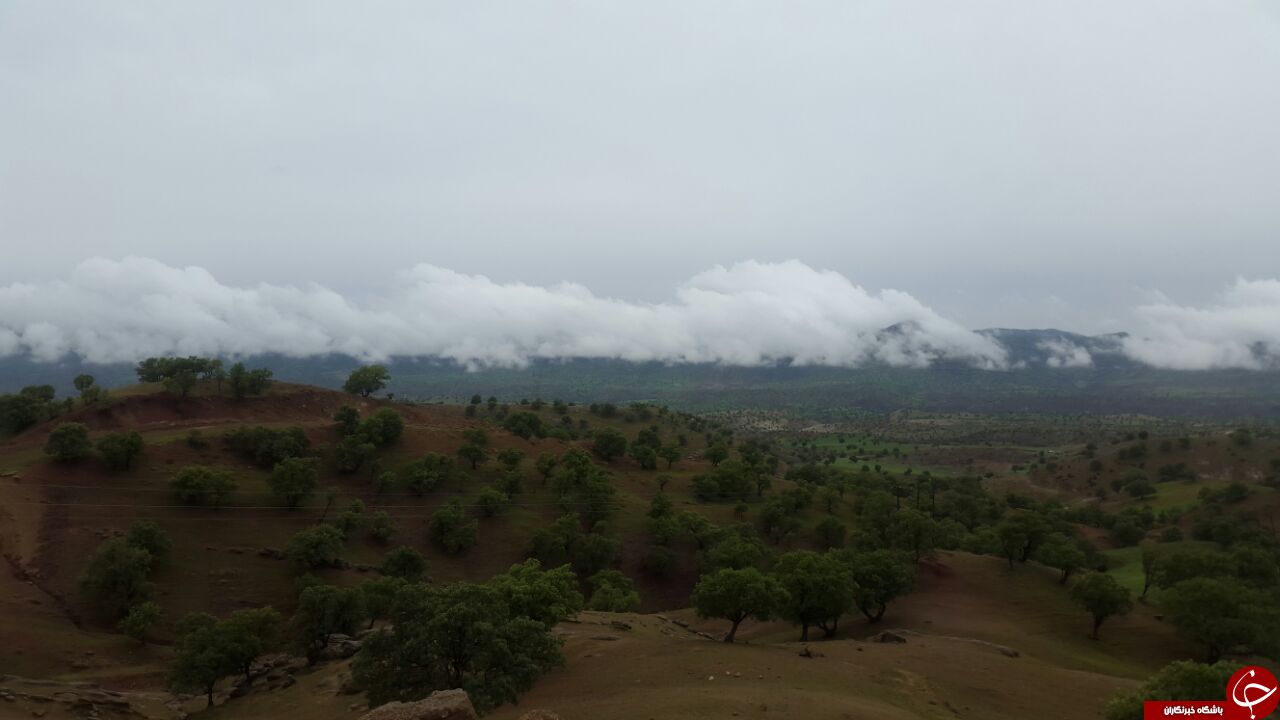 طبیعت چشم&zwnj;نواز کوهدشت در قاب دوربین + تصاویر