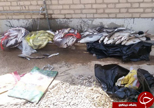 دستگیری ۳ گروه صیاد متخلف در شهرستان پلدختر