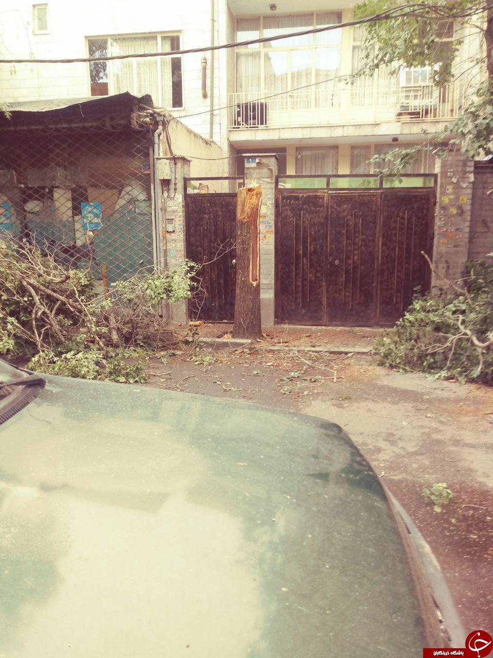 خسارتهای به جا مانده از طوفان در خانیآبادنو + تصاویر خسارتهای به جا مانده از طوفان در خانیآبادنو + تصاویر