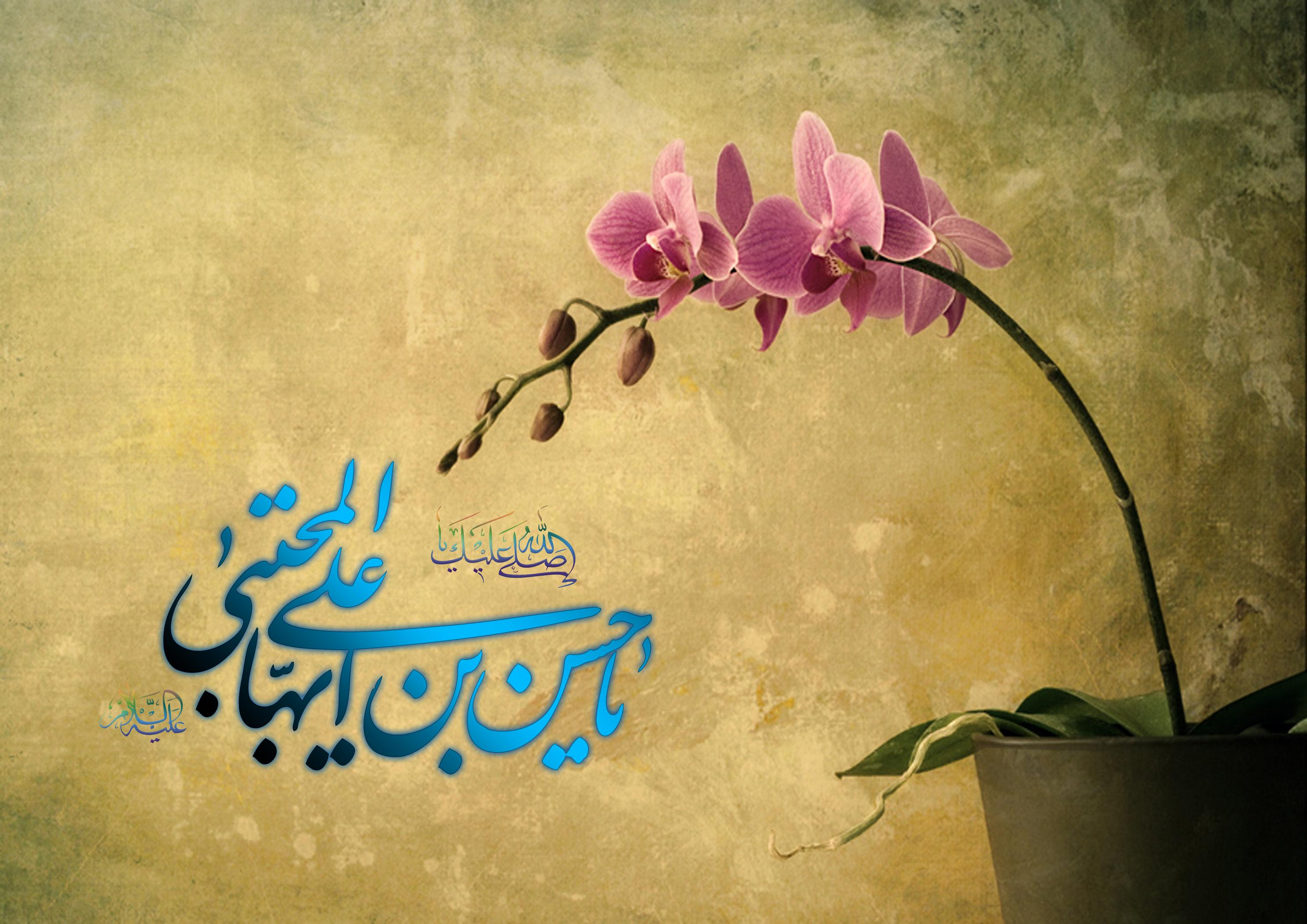 ماجرای جالب کنیزی که توسط امام حسن (ع) آزاد شد