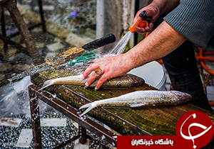 پایین بودن سرانه مصرف انواع آبزیان در کشور