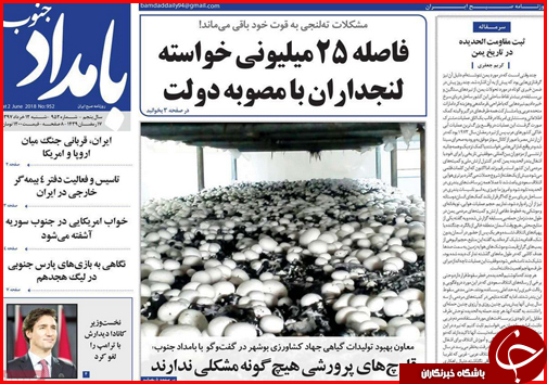 از بازی ارز در بازار مسکن تا بوشهر دروازه تجارت ایران