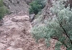 جاری شدن سیل در روستای «قیطور» + فیلم