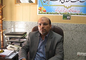 مبارزه با آفت سن گندم و جو در ابرکوه پایان یافت