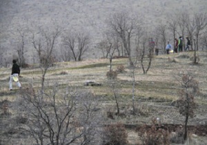 کشت بذر بلوط در جنگل وارتای خطیرکوه