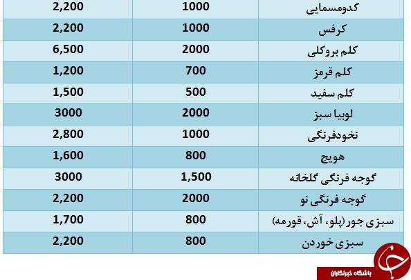 آخرین تحولات بازار سبزی و صیفی در تره بار+ قیمت