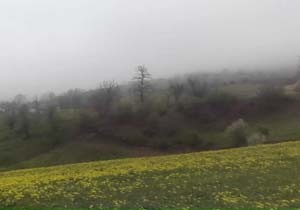 چشم‌اندازی از طبیعت بهاری در روستای چورت + فیلم