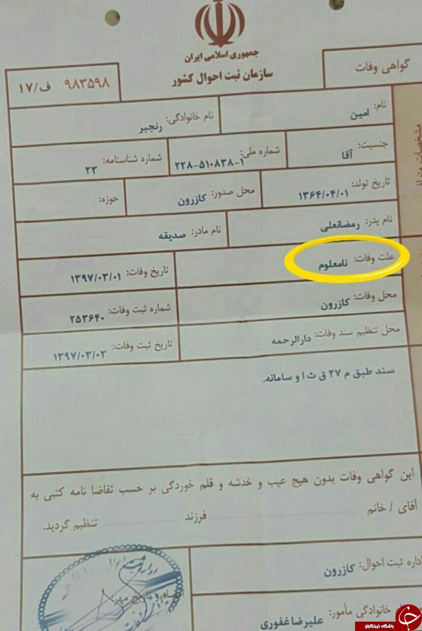کشته سازی