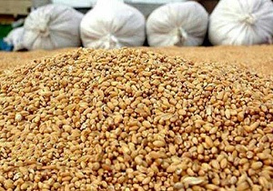 صادرات ۸ هزار تن خوراک طیور از خراسان جنوبی