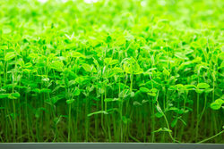 معرفی گجت جالب و فوق العاده کاربردی برای خودرو + فیلم