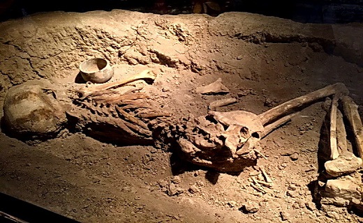 &Acirc;&laquo;&Oslash;&sect;&Oslash;&sup3;&Uacute;&copy;&Ugrave;&Oslash;&ordf; &Oslash;&uml;&Oslash;&sect;&Oslash;&plusmn;&Oslash;&macr;&Oslash;&sect;&Oslash;&plusmn;&Acirc;&raquo; &Uacute;&copy;&Oslash;&not;&Oslash;&sect;&Oslash;&sup3;&Oslash;&ordf;&Oslash;