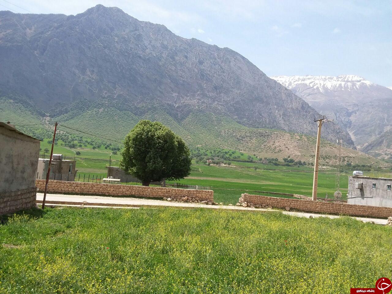 تصاویری از طبیعت دل&zwnj;انگیز در روستای سادات حسینی
