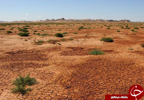 پدیدار شدن بیابان در دل گلستان / برای خطر بیابان زایی در گلستان چه چاره&zwnj;ای اندیشیده شده است؟