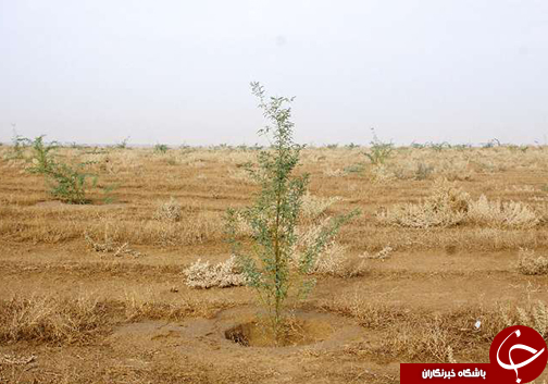 پدیدار شدن بیابان در دل گلستان / برای خطر بیابان زایی در گلستان چه چاره&zwnj;ای اندیشیده شده است؟