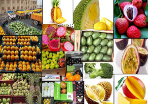 سرمازدگی باغ&zwnj;ها بهانه&zwnj;ای برای سودجویی!/ میوه&zwnj;های قاچاق از مبادی رسمی وارد کشور می&zwnj;شوند
