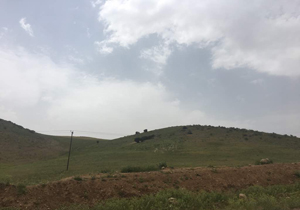 پیش بینی آسمان نیمه ابری همراه با وزش باد