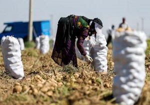 سهم کرمانشاه از مرحله دوم تسهیلات اشتغال روستایی  ۸۸ میلیارد است